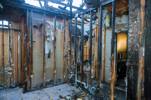 Professional Smoke Damage Removal technician working in Three Bridges, NJ